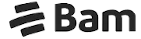 Logo_aseguradora_bam
